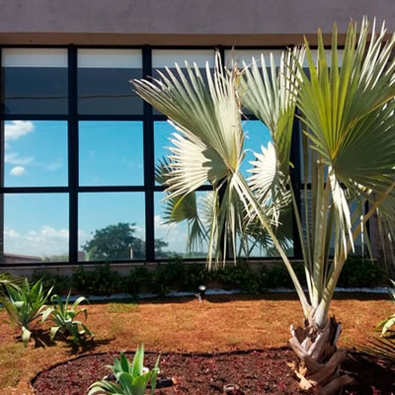 Aplicação de Película Residencial Ribeirão Preto - Aplicação de Película de Proteção Solar